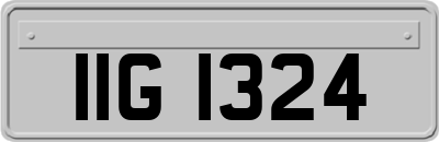 IIG1324