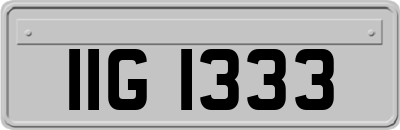 IIG1333