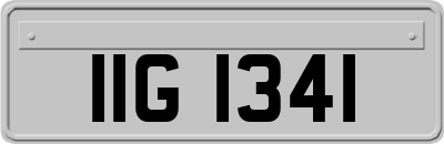 IIG1341