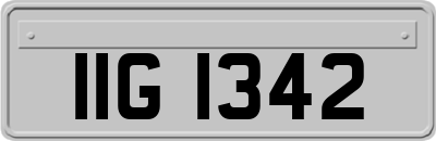 IIG1342