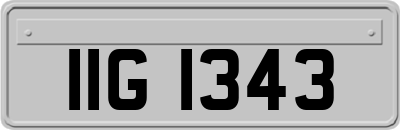IIG1343