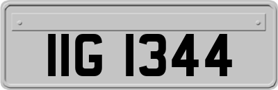 IIG1344