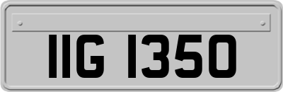 IIG1350