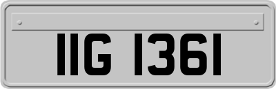 IIG1361