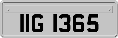 IIG1365