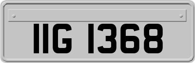 IIG1368