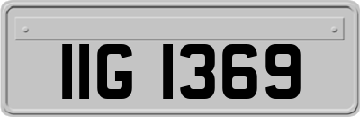 IIG1369