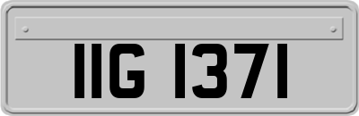 IIG1371