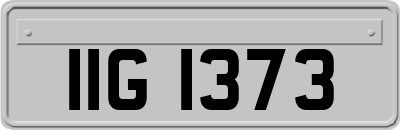 IIG1373