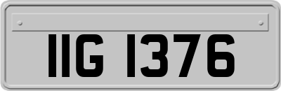 IIG1376