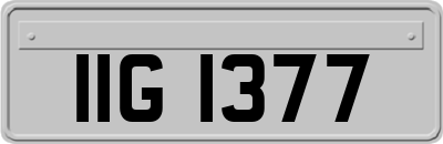 IIG1377