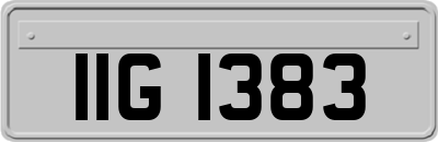 IIG1383
