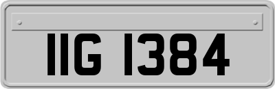 IIG1384