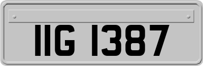 IIG1387