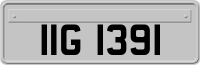 IIG1391