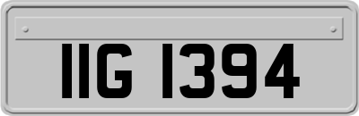 IIG1394