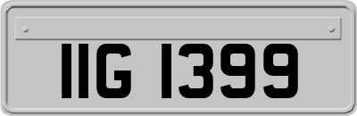 IIG1399