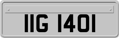 IIG1401