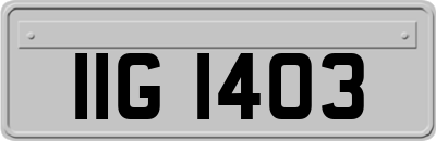 IIG1403