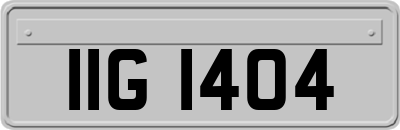 IIG1404