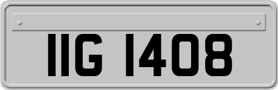 IIG1408