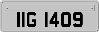 IIG1409