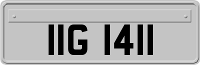 IIG1411
