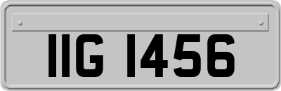 IIG1456