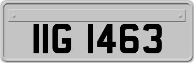 IIG1463