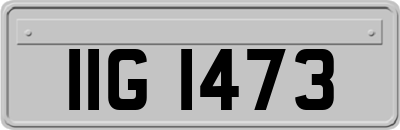 IIG1473