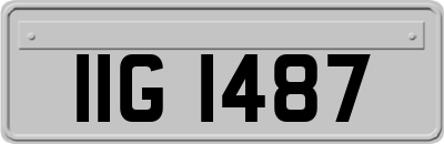 IIG1487