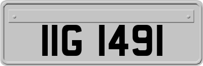 IIG1491