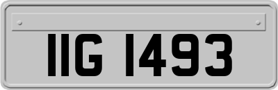 IIG1493