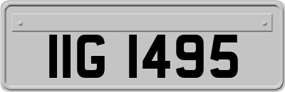 IIG1495