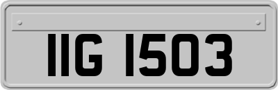 IIG1503