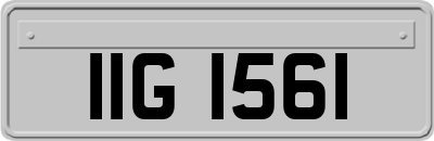 IIG1561