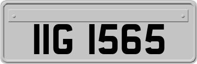 IIG1565