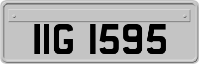 IIG1595