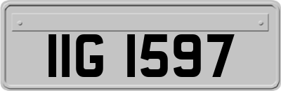 IIG1597