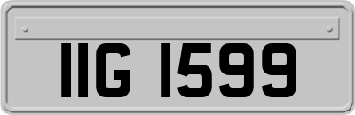 IIG1599