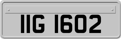 IIG1602