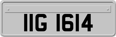 IIG1614