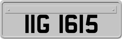 IIG1615