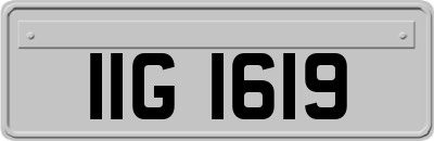IIG1619