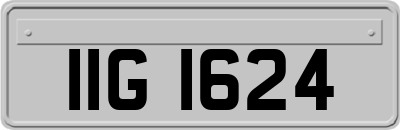 IIG1624