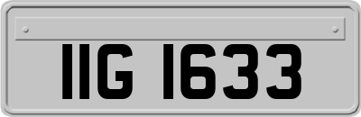 IIG1633