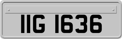 IIG1636