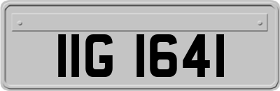 IIG1641