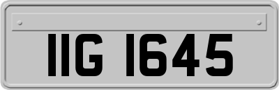 IIG1645