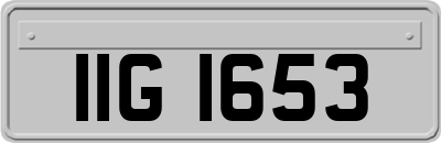 IIG1653